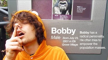 J-Bobs - Return to Monkey [OFFICIAL MUSIC VIDEO] prod. chibi