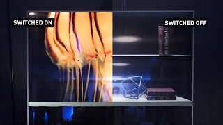 Transparent OLED TV Wows Industry Pros | Panasonic Backstage