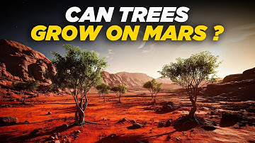 Can We Grow Trees on Mars? The Science of Terraforming Explained | @SpaceverseHQ