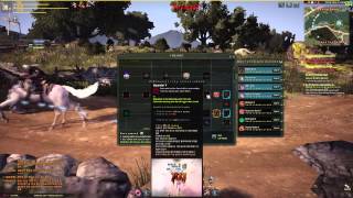 Black Desert Online:Plum(Сакура) Обзор