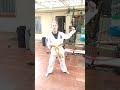 Taekwondo