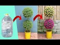 Creative vertical garden from plastic bottles | Gardening ideas for home