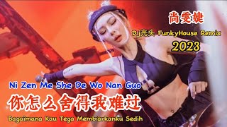 尚雯婕 - 你怎么舍得我难过 - (Dj光头 FunkyHouse Remix 2023) - Ni Zen Me She De Wo Nan Guo #dj抖音版2023