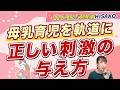【助産師解説】最適な授乳回数や時間は?搾乳は刺激にならない?(お手紙シリーズ)