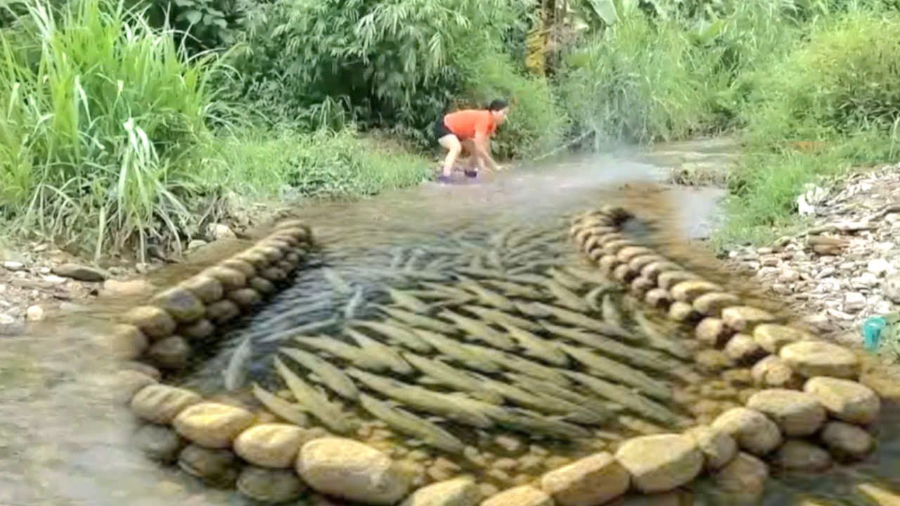 The girl uses a series of fish traps to catch large fish in the river ...