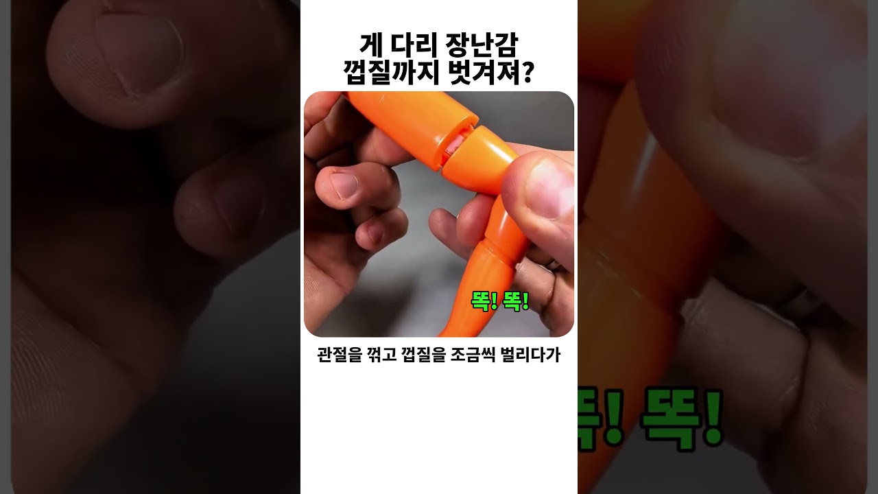 대게 다리 껍질 까는 연습 ㅋㅋ #이건못참지