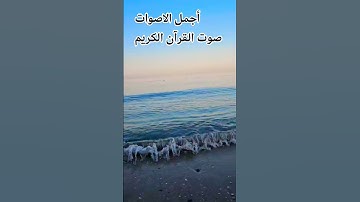 تلاوه خاشعة من القرآن الكريم بصوت جميل للشيخ اسلام صبحي #المصحف #راحة_نفسية #اكسبلور #الرحمن