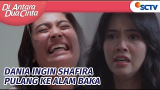 Shafira Syok Liat Dania Makin Gila dan Membencinya | Di Antara Dua Cinta Episode 249