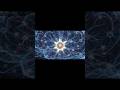 🧠 क्या आप जानते हैं? आपका दिमाग शरीर की 20% Energy इस्तेमाल करता है!