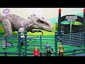 The New Indominus Rex at the Dinosaur Park - Learn Dinosaur Names Jurassic Dinosaur Toys for Kids