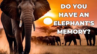 🐘 Giants Who Never Forget: 🧠 The Incredible Memory of Elephants Explained 🌟