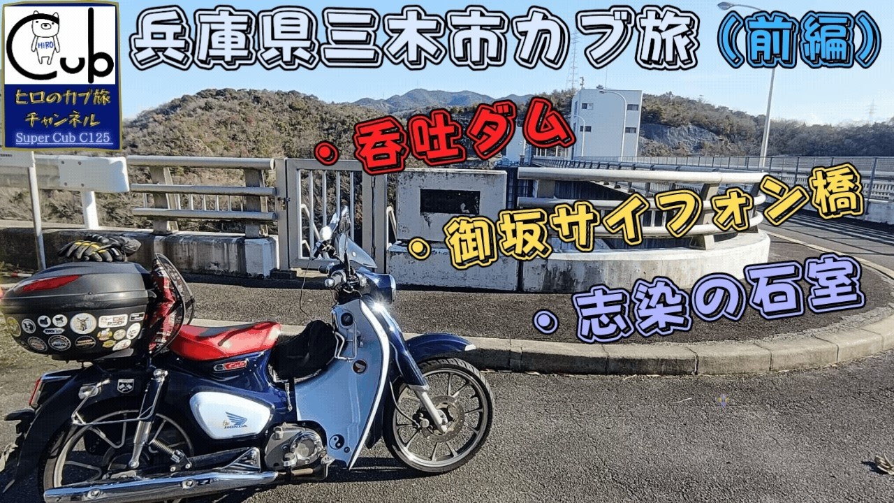 ただのカビゴン 状態A-〕カビゴン【-】{568/742}