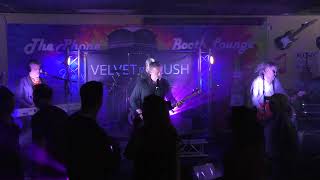 Velvet Crush   S3230017