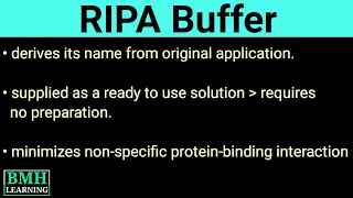 Ripa Buffer Radio Immuno-Precipitation Ay Buffer Cell Lysis Buffer