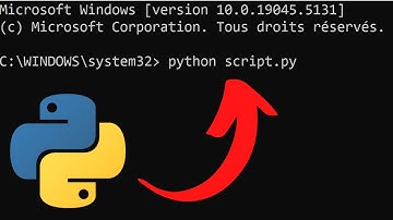 Exécuter un script Python depuis l