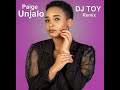 Paige  unjalodj toy house remix