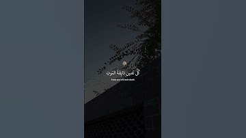 ﴿ يَا عبادِي الذِين آمنُوا إِن ارضِي وَاسِعَة ﴾ سوره العنكبوت، عبدالرحمن مسعد #ارح_قلبك #قران_كريم