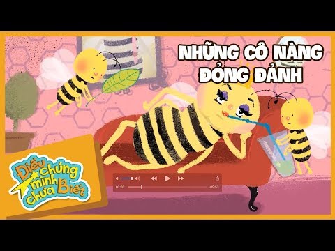 Những Cô Nàng Đỏng Đảnh