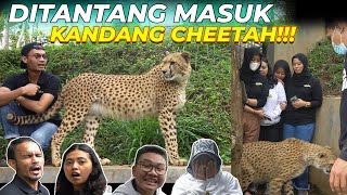 PERJUANGAN TEAM DEHAKIMS FOTO BARENG CHEETAH !!! ADA YANG DIG1GIT !!?