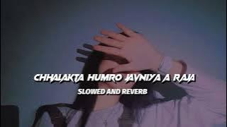 Chhalakata Hamro Jawaniya (Slowed/Reverb) Song || Bhojpuri Raja Super Hit Slowed Bhojpuri Song