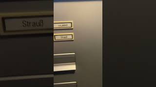 Biz Arkadaşlarla 34 Tane Bastık