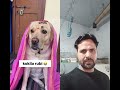 Dog Lover #dog