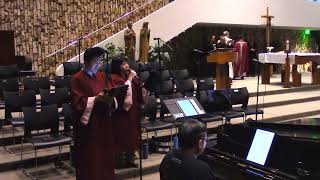 Xin Thứ Tha - Đỗ Vy Hạ