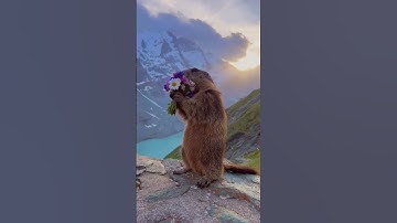 Treat Yourself. Take a BREAK. #hopecore #nature #edit