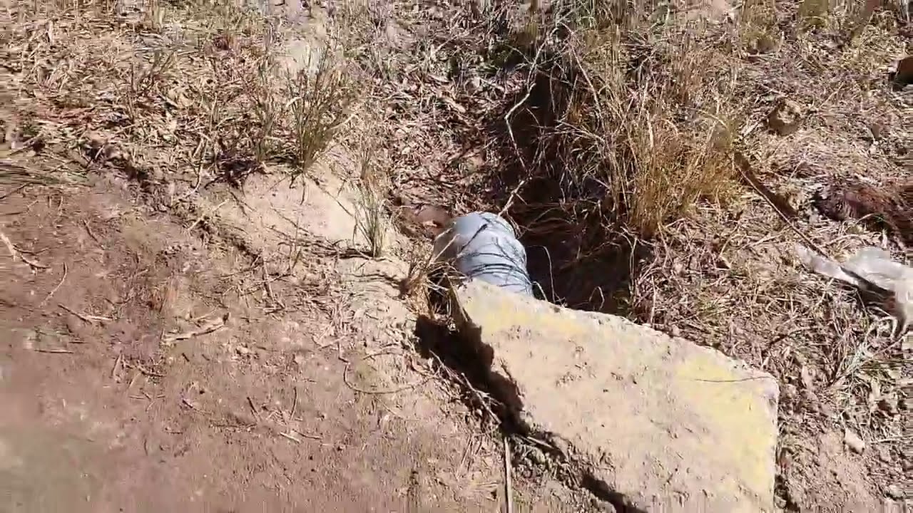 #بستان 10 دونم + دار قديمة متواضعة للبيع في #كربلاء_المقدسة_طريق_بغداد_الجمالية