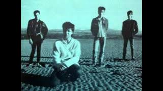 THE CHAMELEONS - Tears (Full Arrangement)