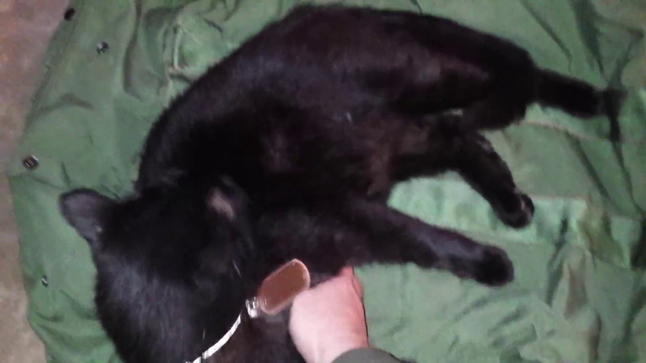 Flyers Kit Bag Nylon Green Video Review