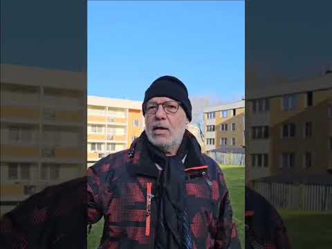 قز القرط هي أنثى الذئب الأحمر تقديم الحاج صادق زاهي