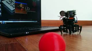 Xpider Raspberry Pi Zero with OpenCV Ball Follower