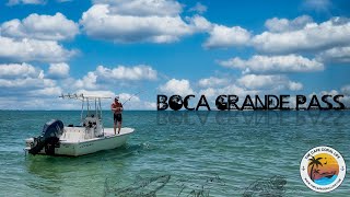 Boca Grande Pass - Dolphins, Manatees, Sharks & More!