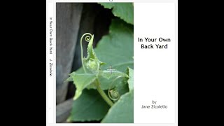 In Your Own Back Yard - Adult ABC's Level 2 (Learning Words)