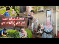 كان لازم اقف واسد💪🏻 مع امي بعد ما الكل سابها😔واخرتها تقولي انت فلاح 👨‍🌾 كتب 📚