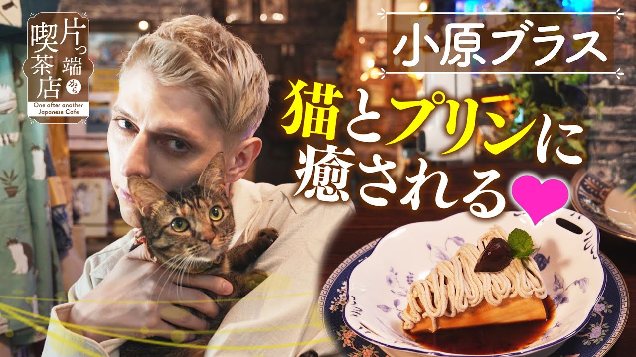 【小原ブラス】猫に癒されて食べる…季節限定「モンブランプリン」【片っ端から喫茶店】