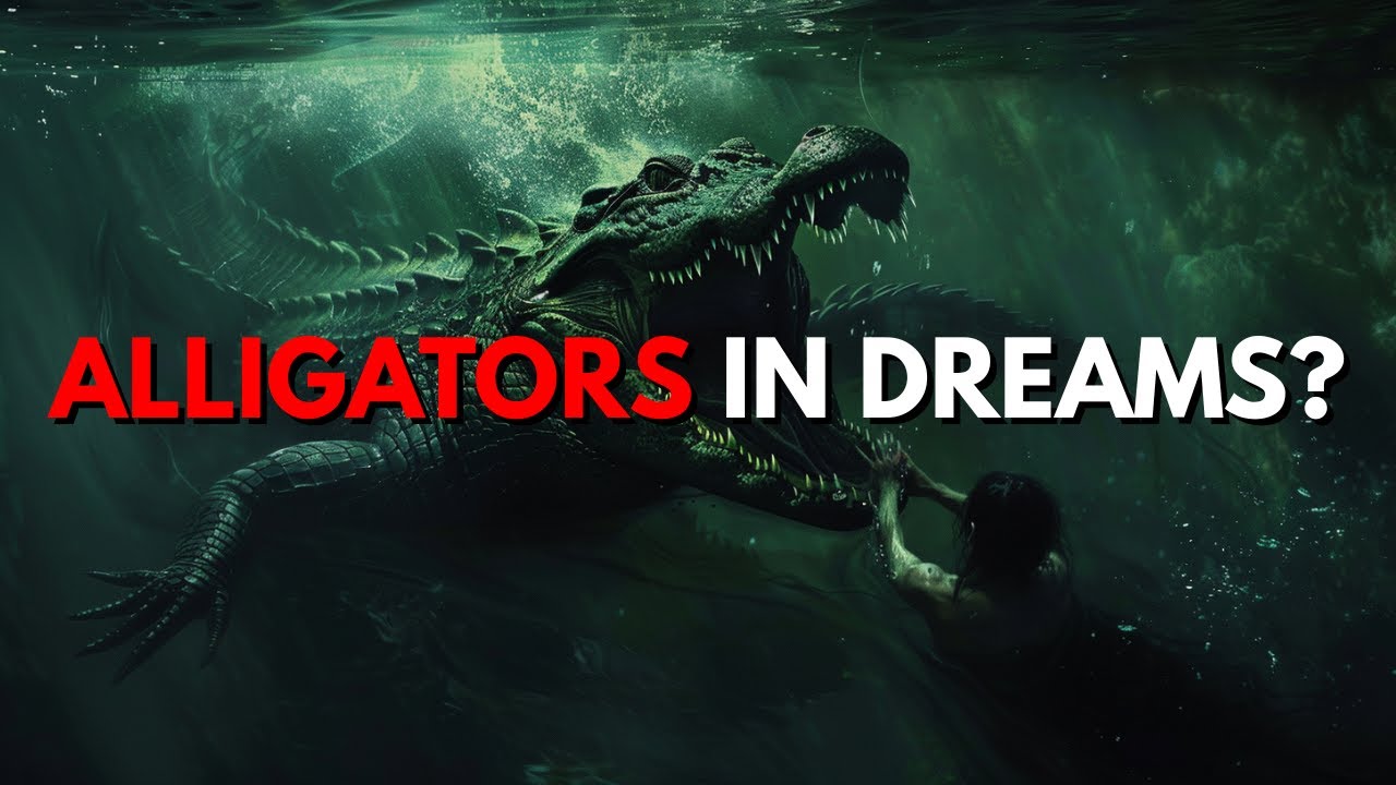 Значение снов об аллигаторах!