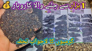 Chia Seeds Business Idea Start With 1000 Rupees Low Investment Profitable Business In Pakistan