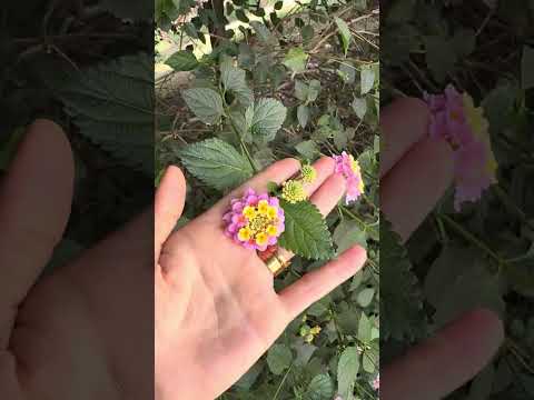 شوارع مرسين التركية سحر المدينة وأحلى الأجواء 25