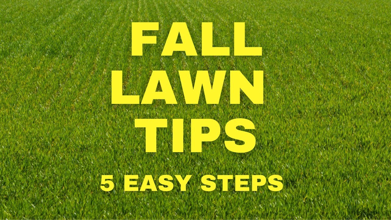 DIY Fall Lawn Care // 5 Easy Steps To A Great Lawn YouTube