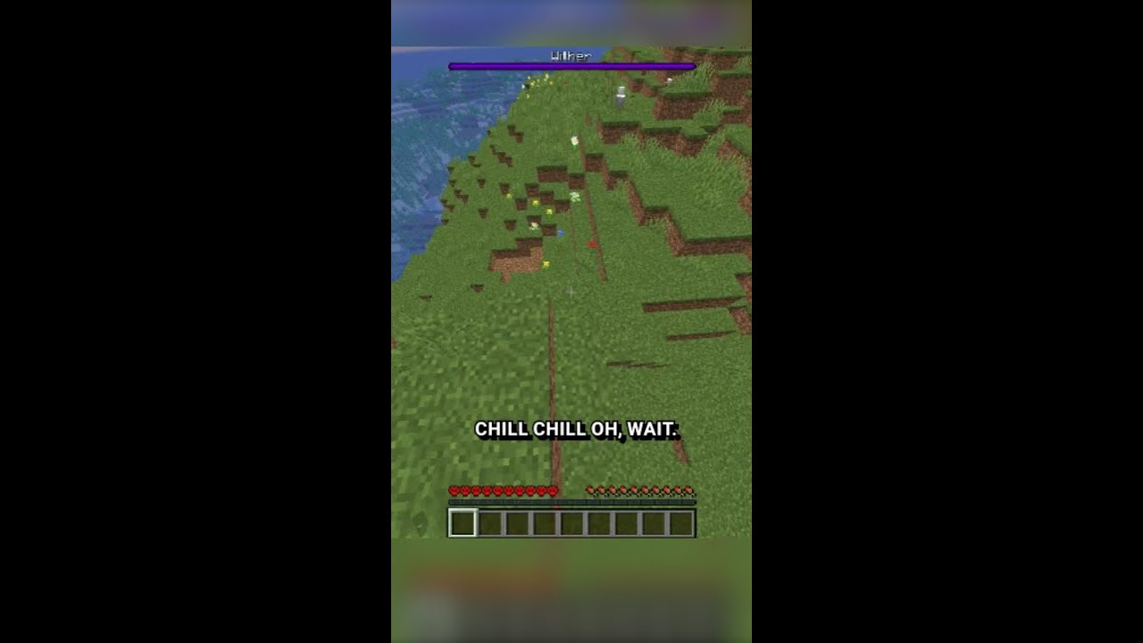 Withers SPAWN every MINUTE