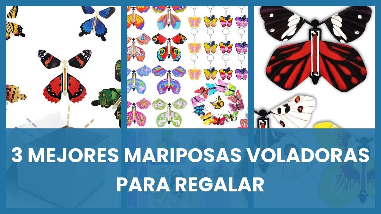 Mariposas voladoras regalo: 3 mejores mariposas voladoras para regalar