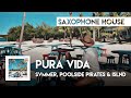 Svmmer poolside pirates  islnd  pura vida