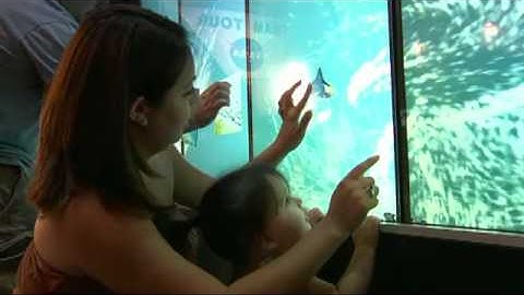 MultiTouch multiuser LCDs