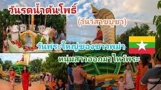 @lifeofter2358 มาดูประเพณีรดน้ำต้นโพธิ์ของชาวพม่าหรือวันวิสาขบูชาของไทย