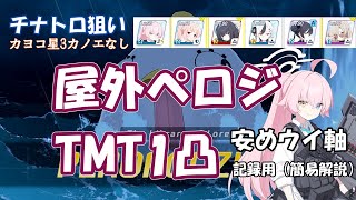 【ブルアカ】総力戦 ペロロジラ Torment 1凸(ウイ軸記録用)【40,028,000pt】~屋外特殊装甲TMT/解説付き/星安め/カノエ・ハレキャンなし・ブルーアーカイブ~