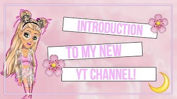 INTRODUCTION//Lauren MSP