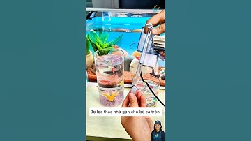 Bộ lọc thác cho bể cá tròn | Waterfall Filter for Round Tank #aquarium #shorts