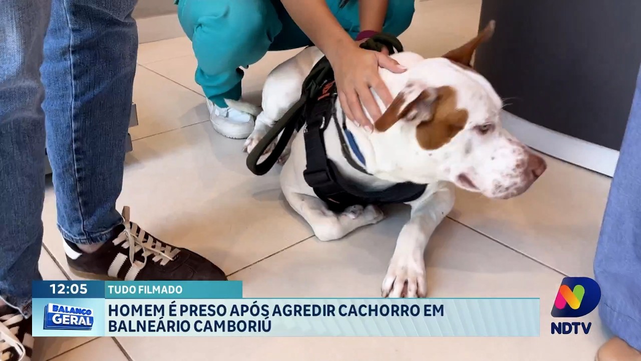 Homem é preso após agredir cachorro em Balneário Camboriú